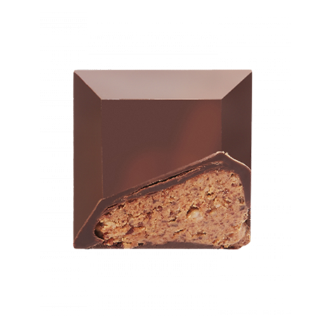 6 - Coco Praline Milk 45%